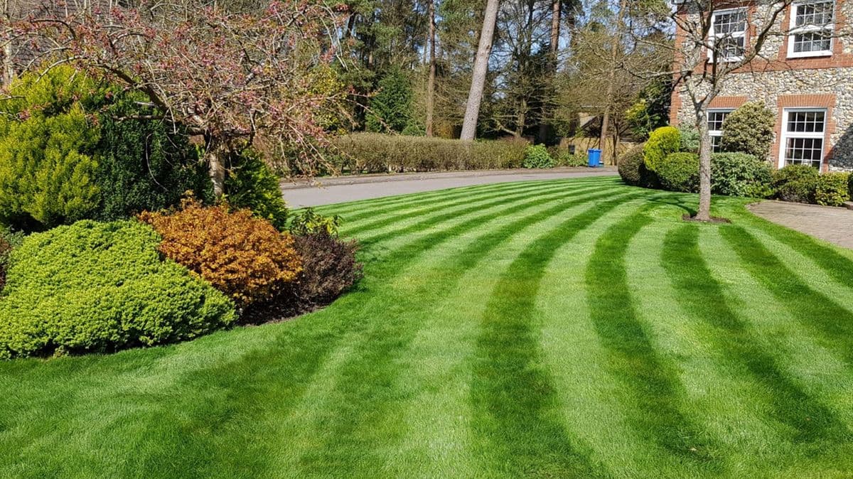 garden