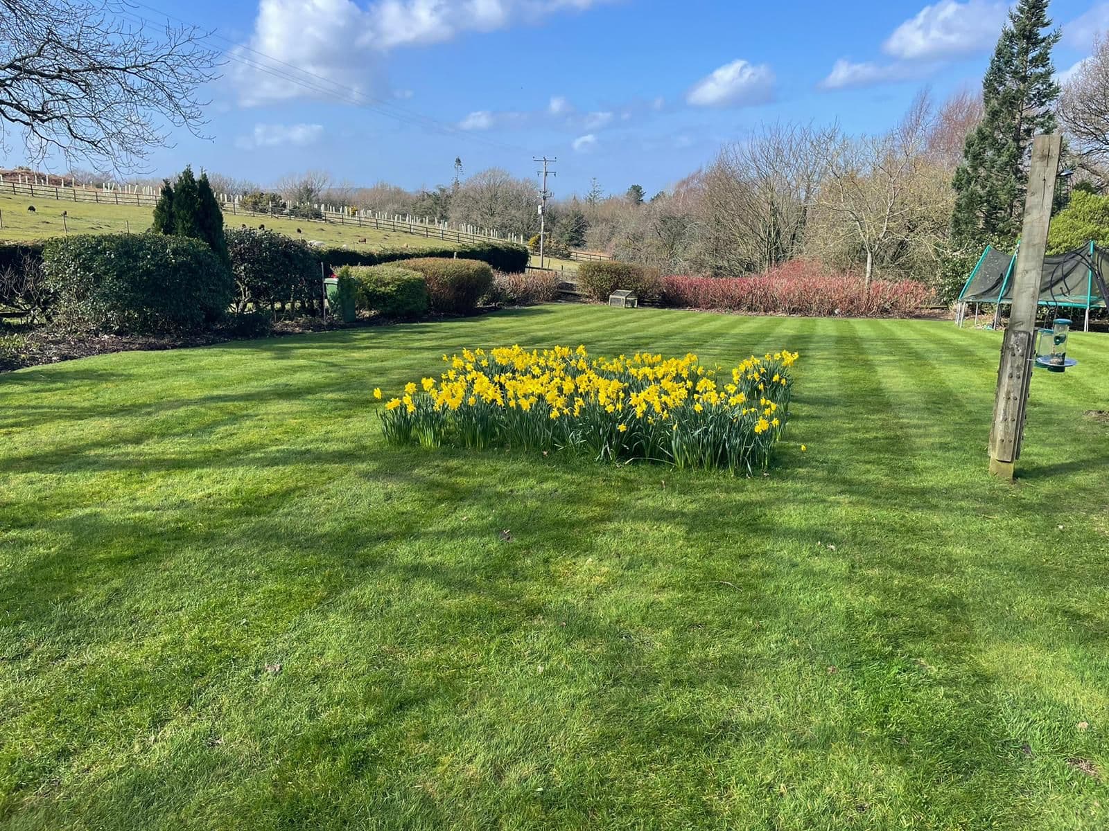garden