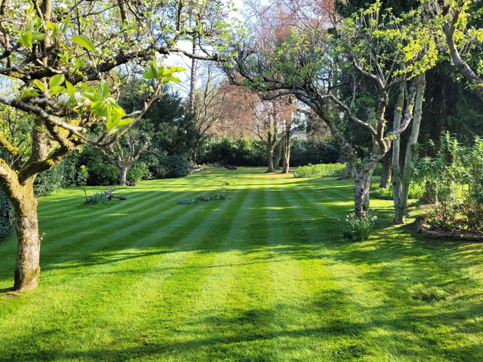 Nicely manicured garden